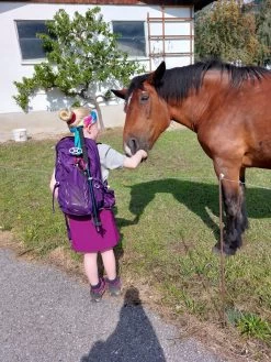 Osprey Women's Tempest 20 - Wanderrucksack -Camping Gear Verkauf osprey womens tempest 20 wanderrucksack fc2161d869c74e726859230eb987d054 1